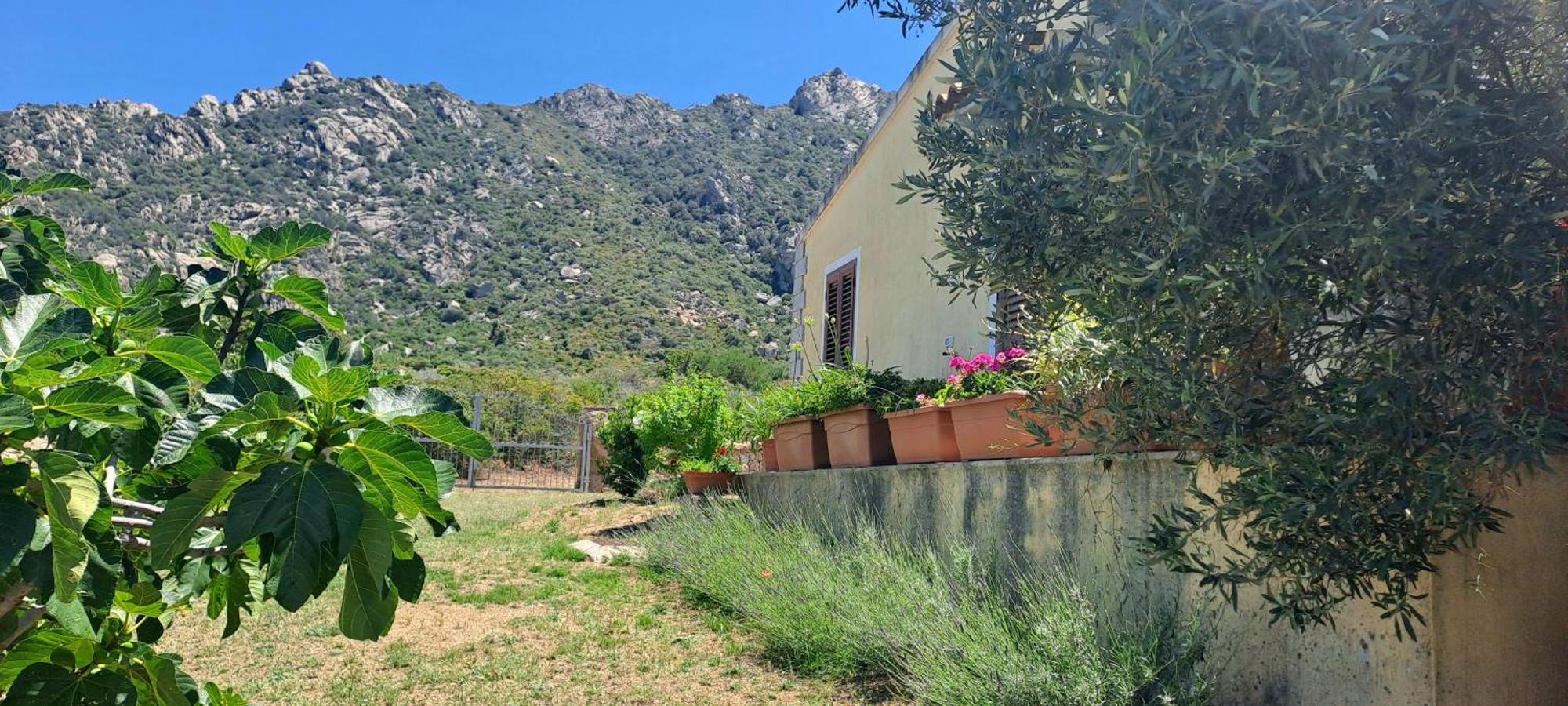 Holiday home Casa Sole *
